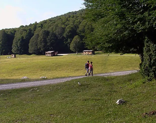 Coppia in cammino tra prati e boschi del Parco: natura e libertà lungo le Escursioni Parco Nazionale d’Abruzzo.
