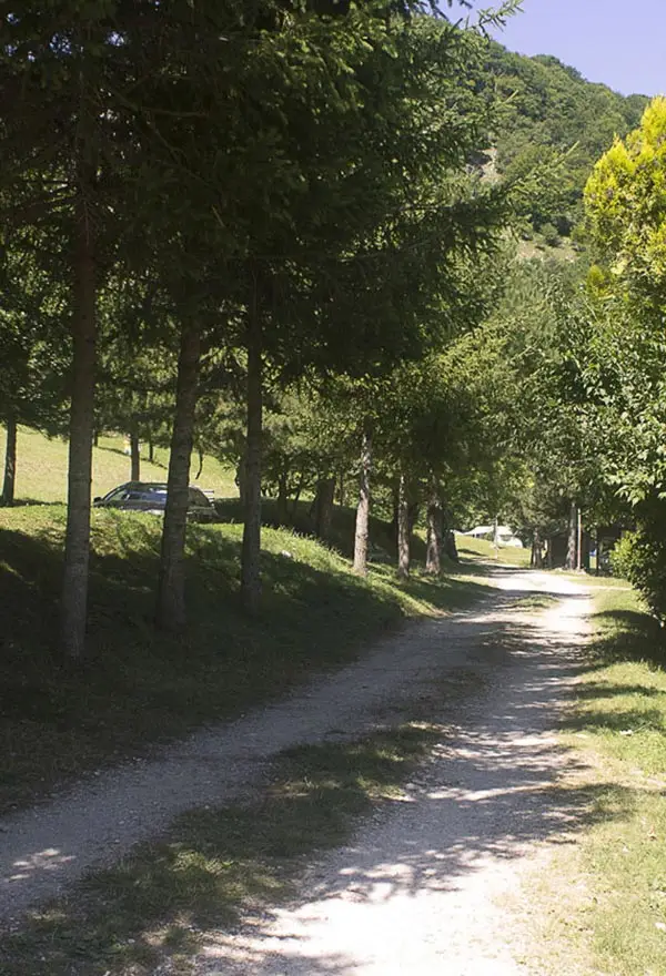 Sentiero ombreggiato tra alberi e natura nel Campeggio a Opi: un invito alla lentezza e al relax tra le montagne abruzzesi.