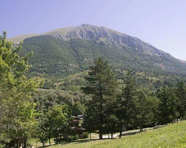 Panorama sulle piazzole immerse nel verde, con vista sul Monte Marsicano: natura e relax tra le migliori Piazzole per tende Abruzzo.