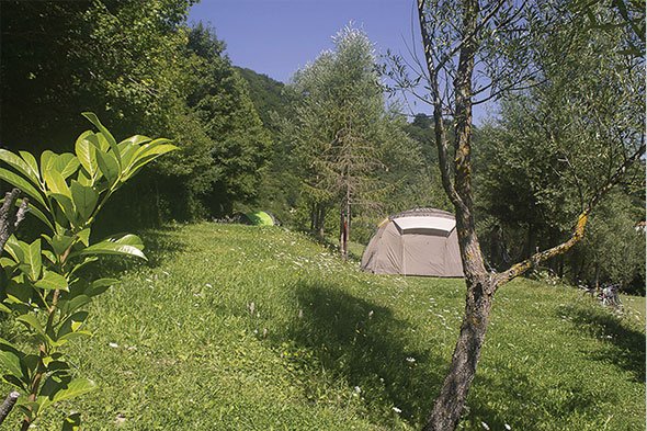 Tende posizionate tra alberi e fiori di montagna, su un prato tranquillo e soleggiato: natura autentica nelle Piazzole per tende Abruzzo.