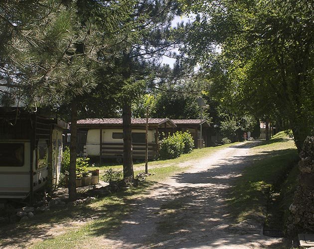 Vacanza in roulotte Abruzzo tra pini e sentieri ombreggiati: relax e natura nel cuore del Parco Nazionale.